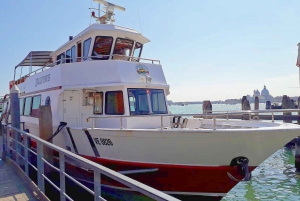 Venise : Tour en bateau panoramique de Murano et Burano avec soufflage de verre