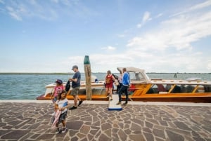 From Venice: Murano & Burano Guided Tour by Private Boat