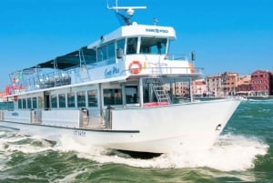 Depuis Venise : Murano, Burano en bateau avec arrêts