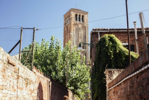 From Venice: Private City Escape – Mazzorbo, Burano & Murano