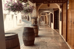 Vanuit Venetië: Prosecco Hills-tour met wijn, Spritz en Asolo