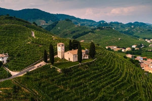 Vanuit Venetië: Tour door de Prosecco heuvels met wijn en eten