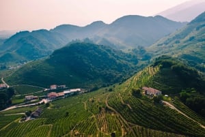 Vanuit Venetië: Tour door de Prosecco heuvels met wijn en eten