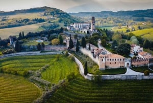 Vanuit Venetië: Tour door de Prosecco heuvels met wijn en eten