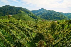 From Venice :Wine and Food tour in the Prosecco Hills