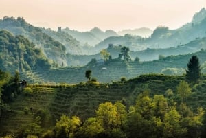 From Venice :Wine and Food tour in the Prosecco Hills