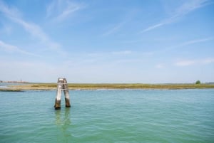 ムラーノ島とブラーノ島への終日ツアー（往復観光付き