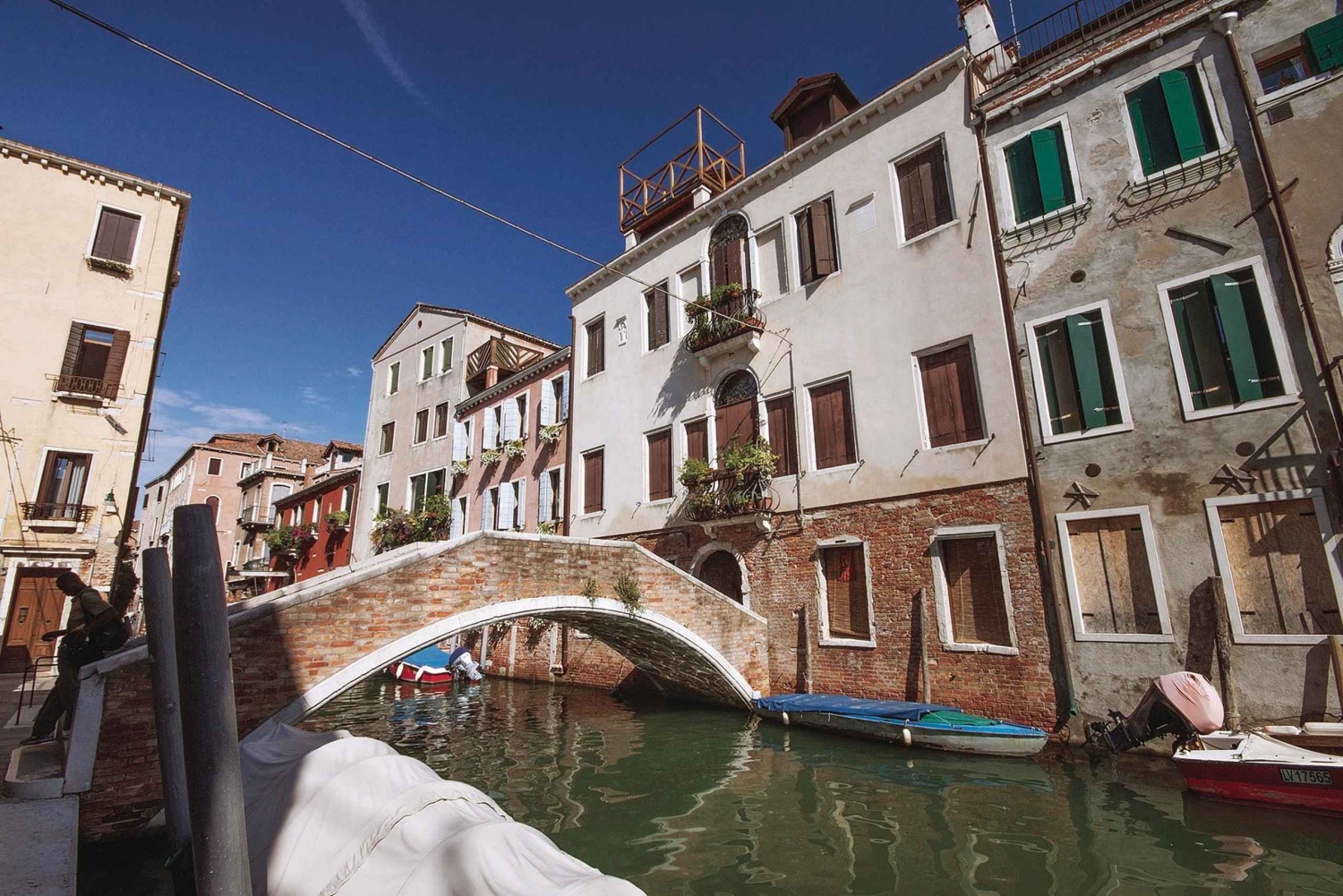 Fuld byvandring i Venedig: Dogepaladset og Markuskirken