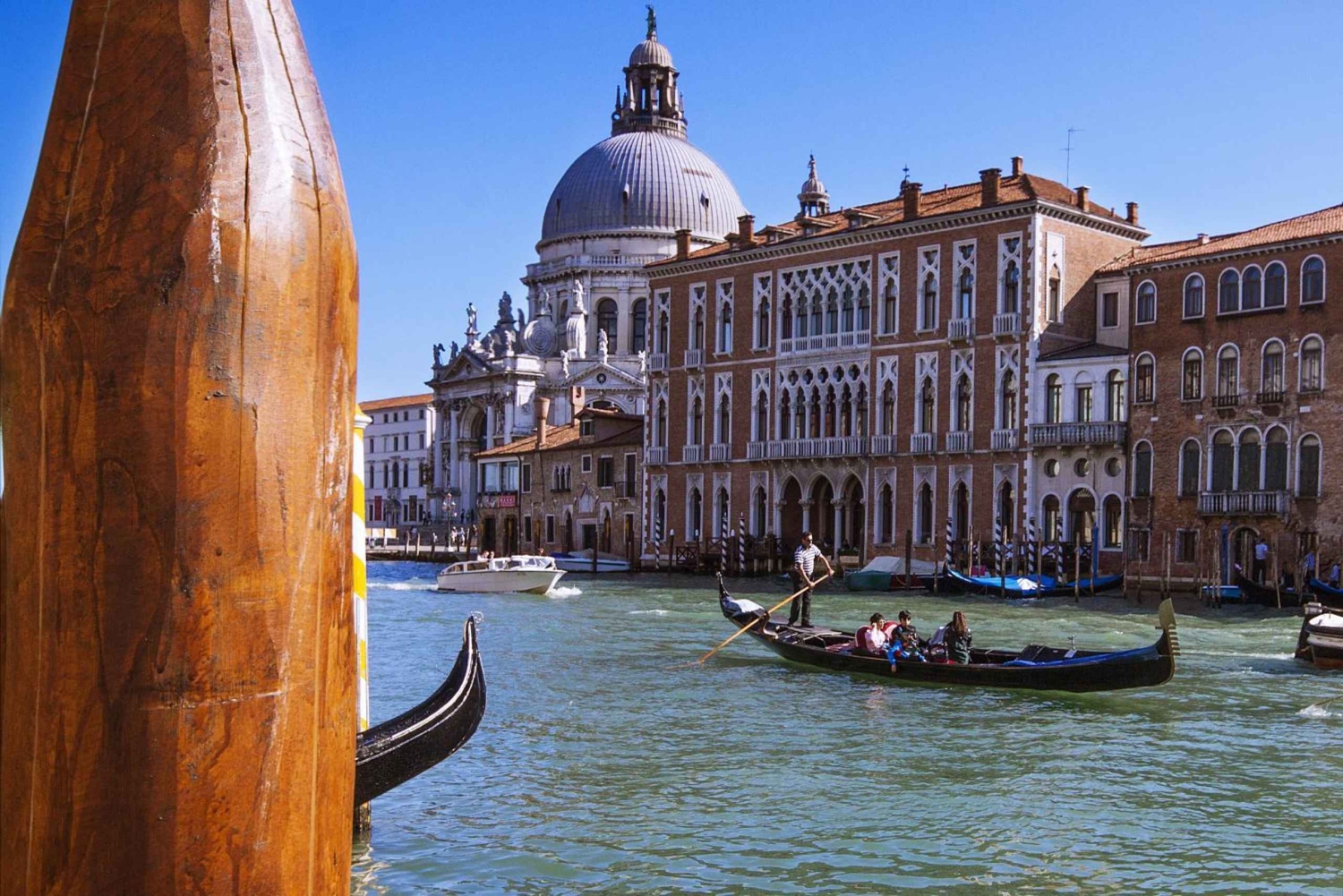 Giro in gondola e tour a piedi di Venezia