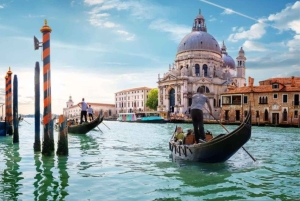 Giro in gondola e tour a piedi di Venezia