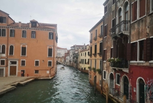 Giro in gondola e tour a piedi di Venezia