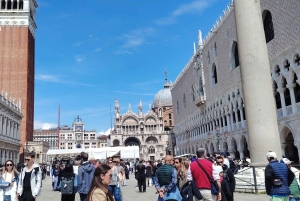 Giro in gondola e tour a piedi di Venezia