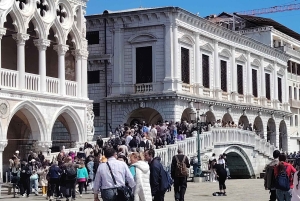 Giro in gondola e tour a piedi di Venezia