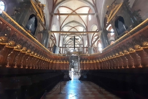 Giro in gondola e tour a piedi di Venezia