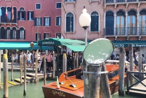 Giro in gondola e tour a piedi di Venezia