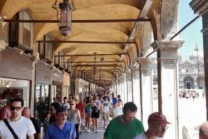 Giro in gondola e tour a piedi di Venezia