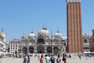 Giro in gondola e tour a piedi di Venezia