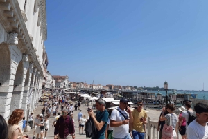 Giro in gondola e tour a piedi di Venezia