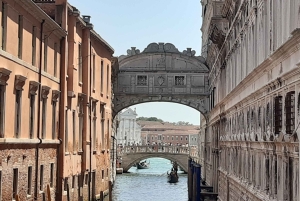 Giro in gondola e tour a piedi di Venezia
