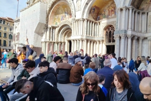 Giro in gondola e tour a piedi di Venezia