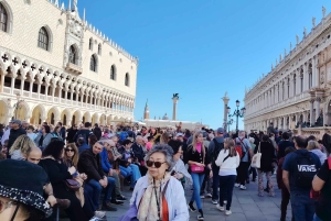 Giro in gondola e tour a piedi di Venezia