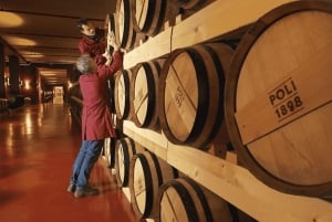 Dégustation de grappa dans le centre-ville de Venise