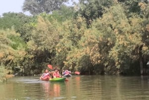 Excursión en kayak por Venecia, explora la laguna y las islas secretas en kayak.