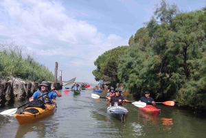 Excursión en kayak por Venecia, explora la laguna y las islas secretas en kayak.