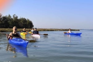 Excursión en kayak por Venecia, explora la laguna y las islas secretas en kayak.