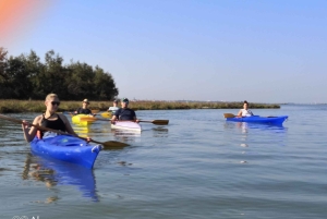 Excursion en kayak à Venise, explorez la lagune et les îles secrètes en kayak