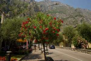 Limone sul Garda & Riva del Garda Day Tour