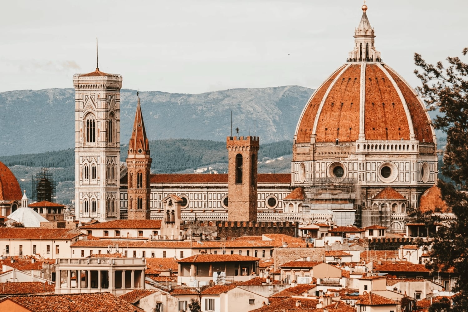 Mailand: 4-tägige Führung durch Venedig, Florenz und Rom