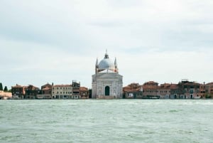 Mini Cruise from Ple Roma to St Mark's areas with guide