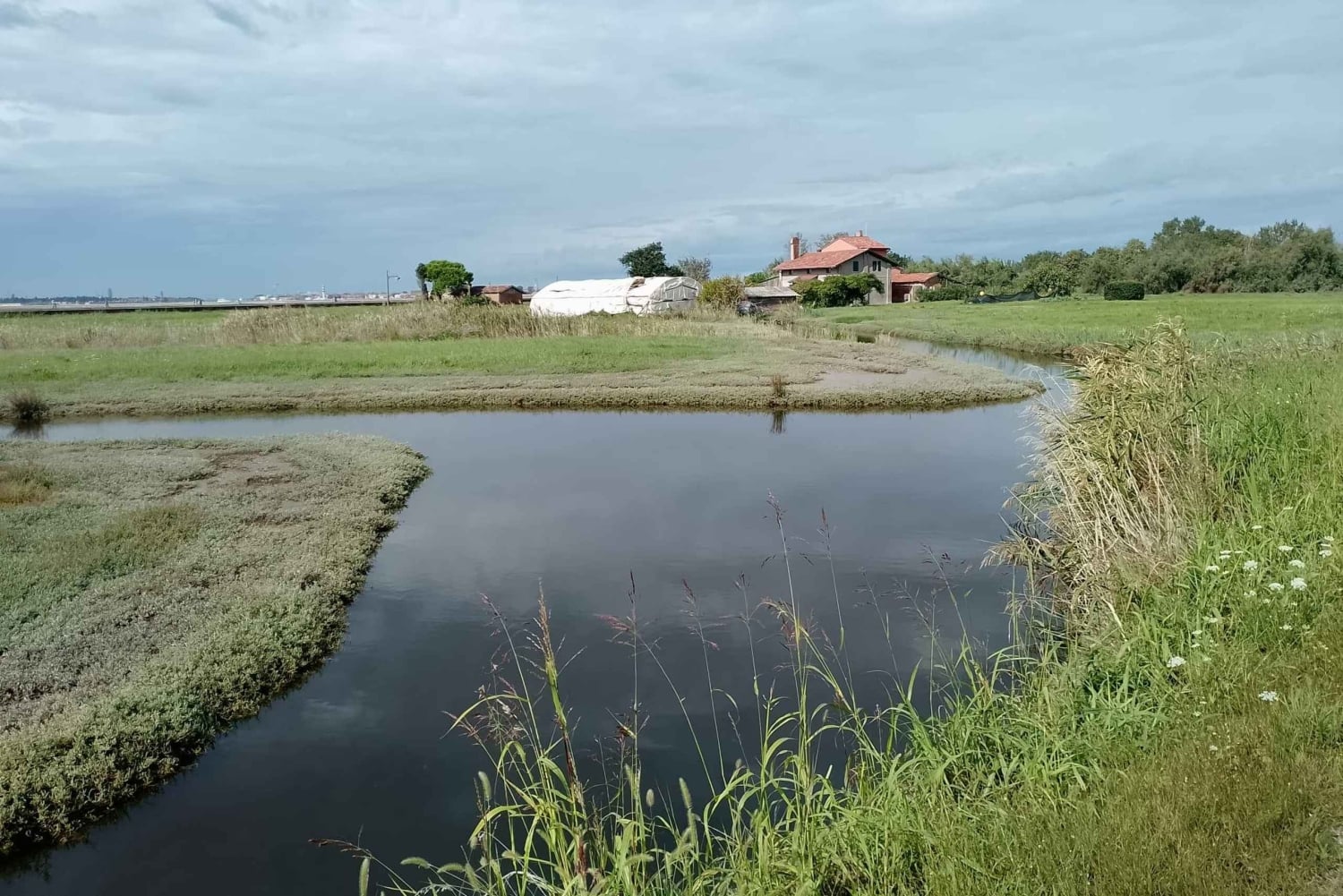 ムラーノ、ブラーノ、トルチェッロ：伝統的なボートで夕日を眺めながらお帰りください