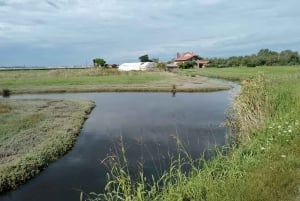ムラーノ、ブラーノ、トルチェッロ：伝統的なボートで夕日を眺めながらお帰りください