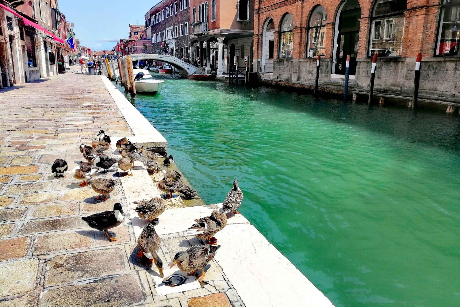 Murano: Glaslampeværksted og vandretur