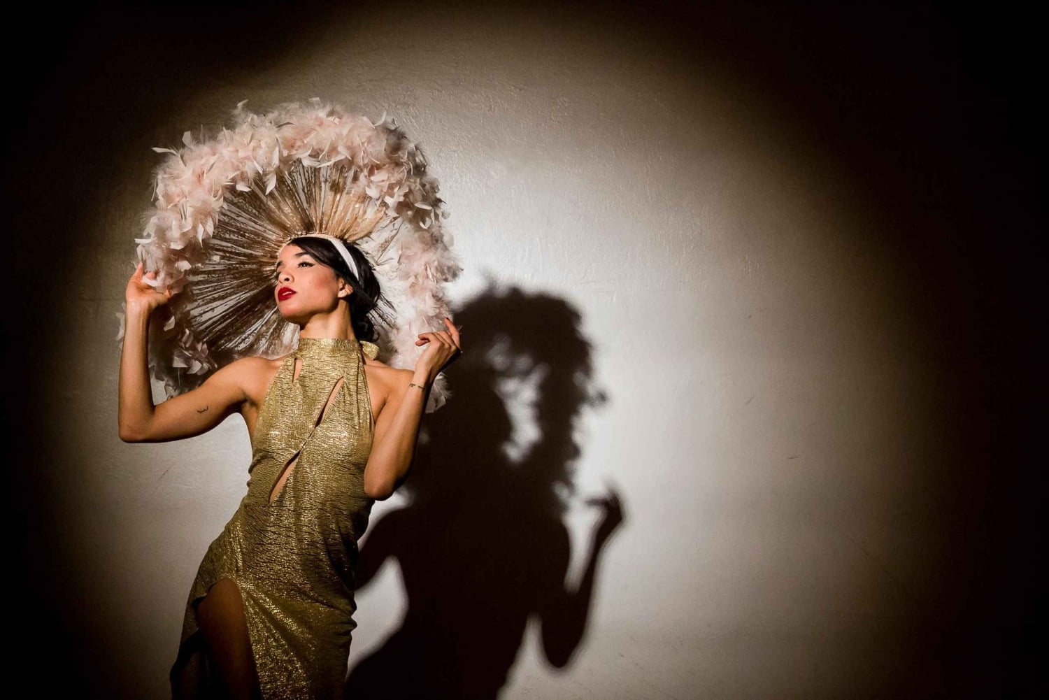 Новогодний гала-ужин и шоу в кабаре в Венеции, 2026 год