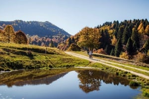 Valdobbiadene: Tour guiado en bicicleta eléctrica por las colinas de Prosecco