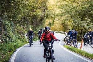 Valdobbiadene: Tour guiado en bicicleta eléctrica por las colinas de Prosecco