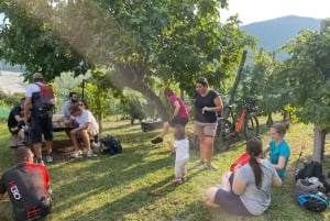 Valdobbiadene: Tour guiado en bicicleta eléctrica por las colinas de Prosecco