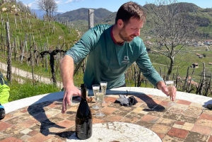 Valdobbiadene: wycieczka z przewodnikiem na rowerach elektrycznych po wzgórzach Prosecco