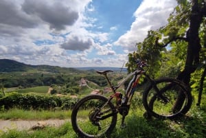 Valdobbiadene: Tour guiado en bicicleta eléctrica por las colinas de Prosecco