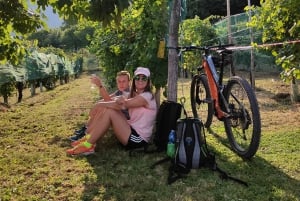 Valdobbiadene: Tour guiado en bicicleta eléctrica por las colinas de Prosecco