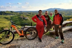 Valdobbiadene: Tour guiado en bicicleta eléctrica por las colinas de Prosecco