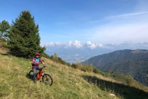 Valdobbiadene: Tour guiado en bicicleta eléctrica por las colinas de Prosecco