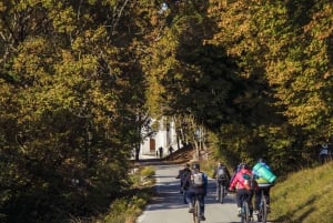 Valdobbiadene: Tour guiado en bicicleta eléctrica por las colinas de Prosecco