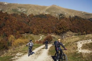 Valdobbiadene: Tour guiado en bicicleta eléctrica por las colinas de Prosecco