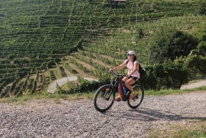 Valdobbiadene: Tour guiado en bicicleta eléctrica por las colinas de Prosecco