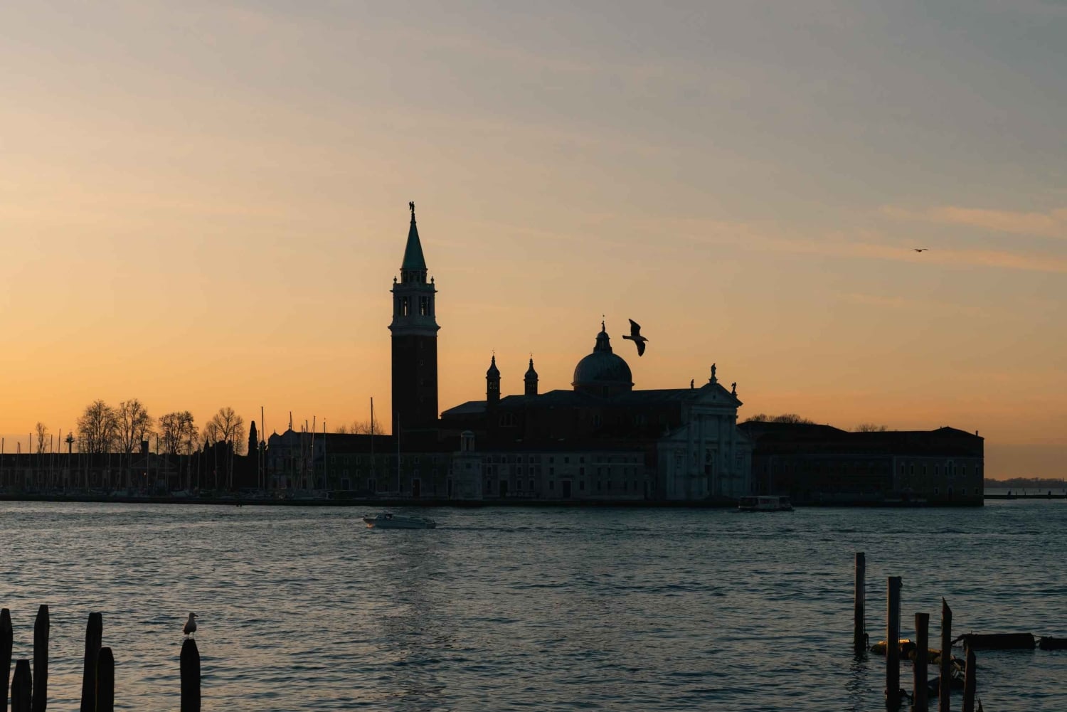 Laboratorio fotografico a Venezia con un fotografo del posto!