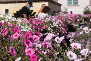 Portogruaro: el este del Véneto a través de los sentidos Degustación